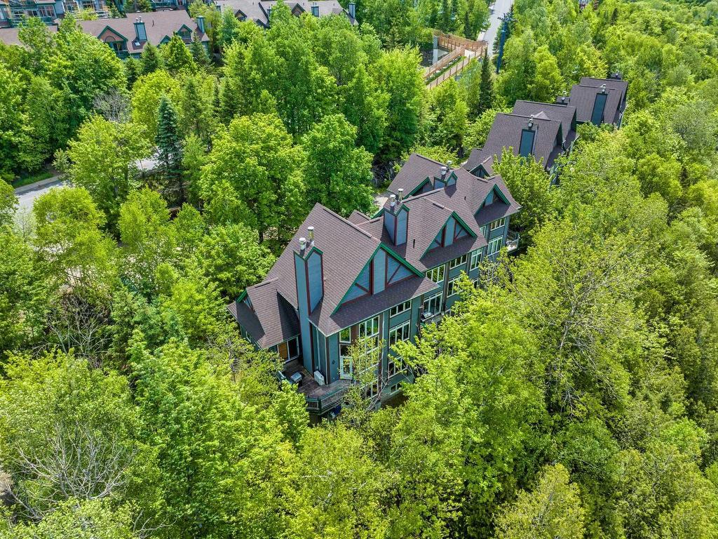









165


Ch. de la Forêt

, 6,
Mont-Tremblant,




QC
J8E3K8

