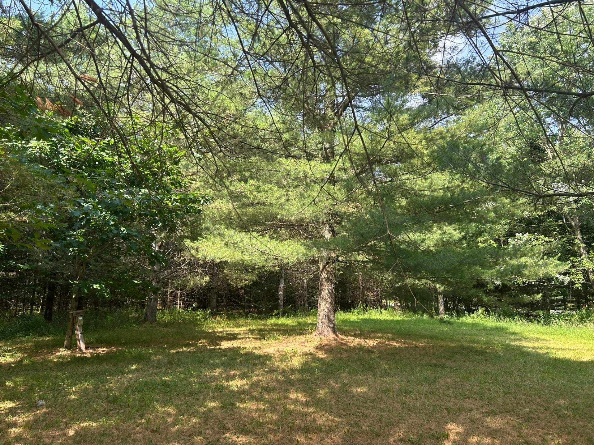 









2


Rue du Mirage

,
Lac-Brome,




QC
J0E1V0

