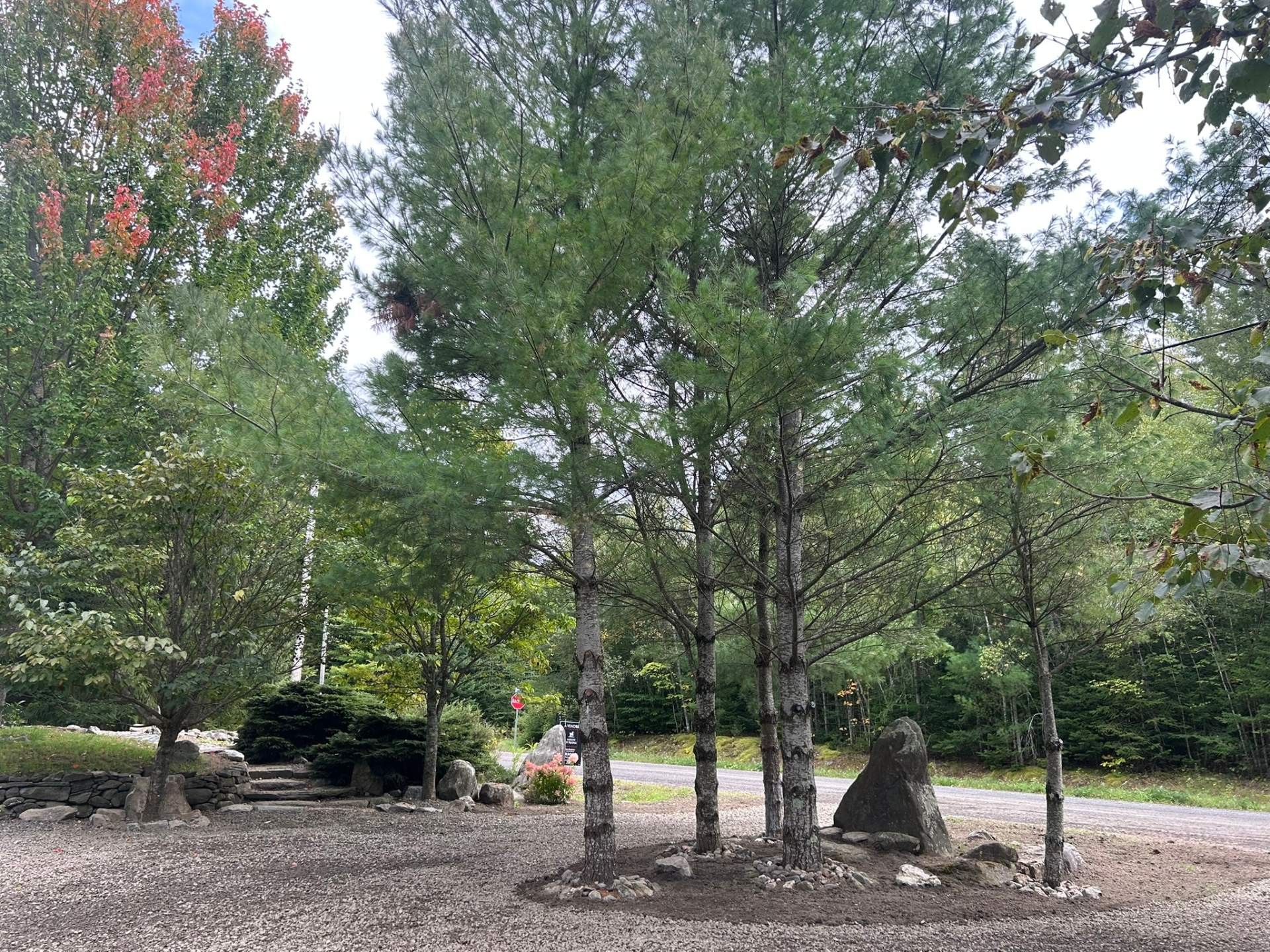 









2


Rue du Mirage

,
Lac-Brome,




QC
J0E1V0

