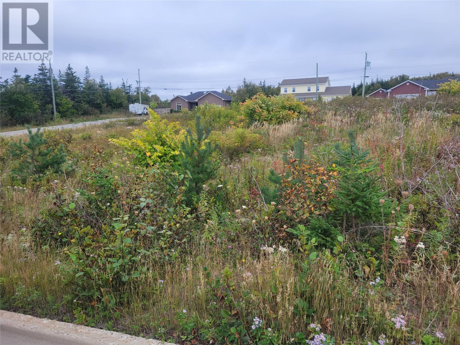 












1 Ridgeview Avenue

,
Stephenville,







Newfoundland & Labrador
A2N0B7

