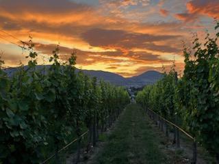 









3175


Valleyview

Road,
Penticton,







BC
V2A 8W8

