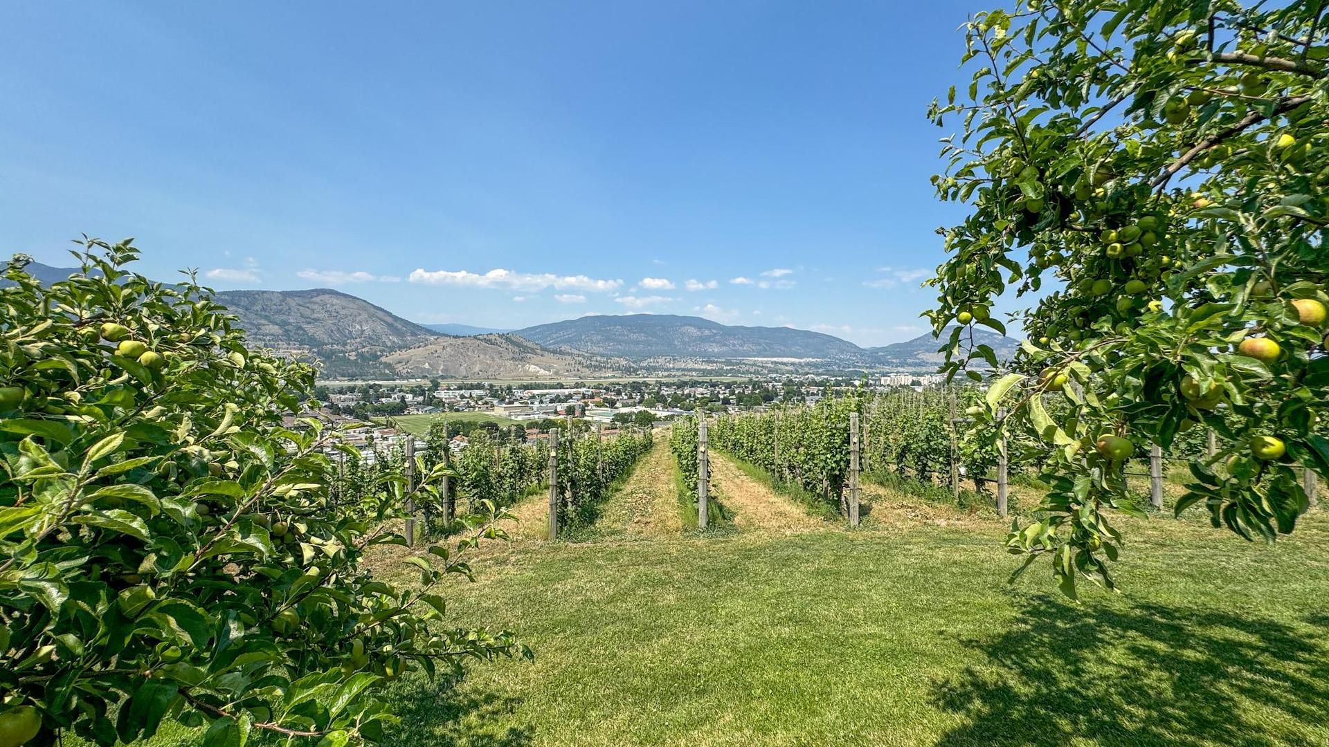









3175


Valleyview

Road,
Penticton,







BC
V2A 8W8

