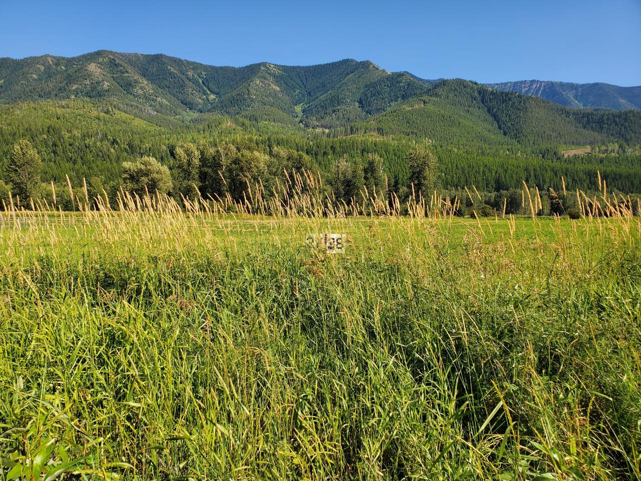 









7015


Stubbs

Road,
Hosmer,







BC
V0B 1M5

