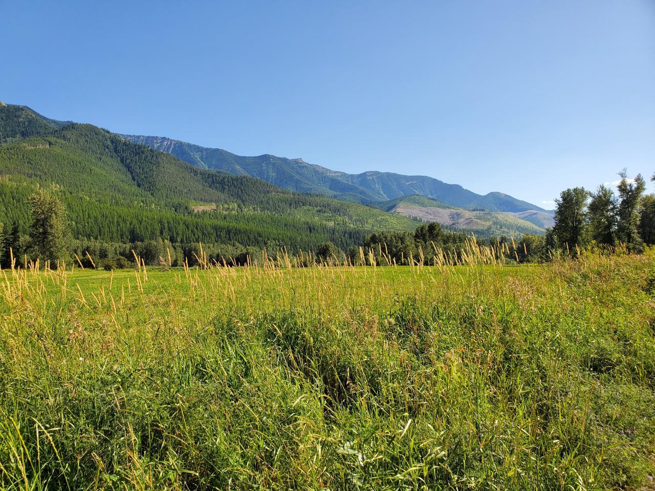 









7015


Stubbs

Road,
Hosmer,







BC
V0B 1M5

