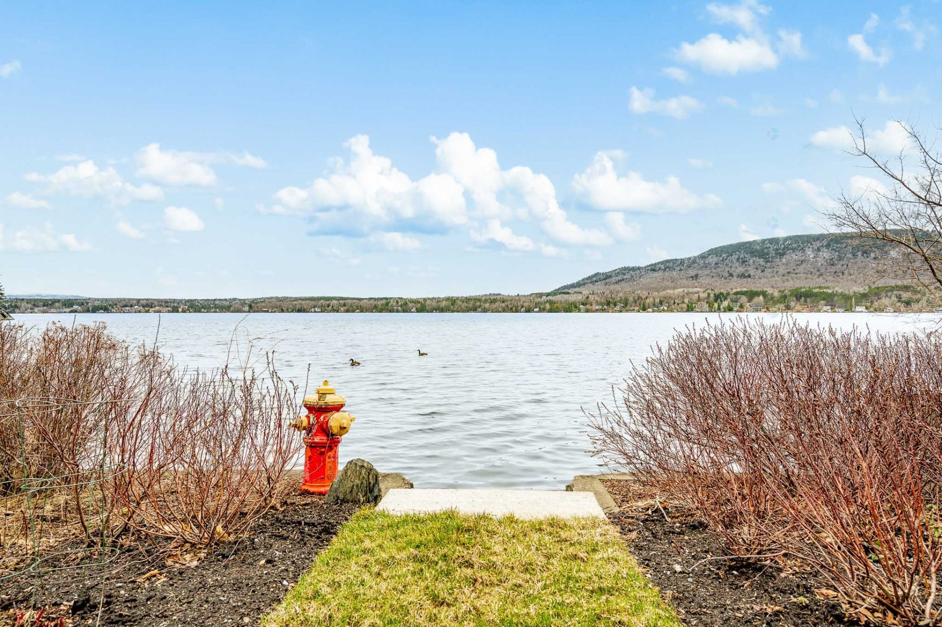 









168


Ch. Allard

,
Coaticook,




QC
J1A2S4

