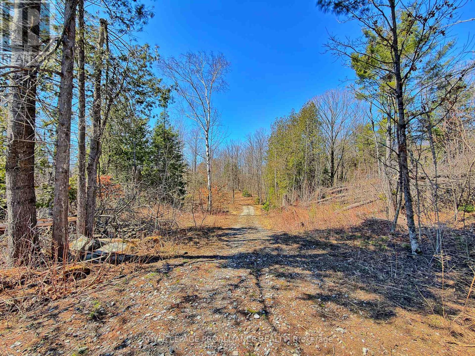 












812 CLEVELAND ROAD

,
Tudor and Cashel (Tudor Ward),




Ontario
K0K1Y0

