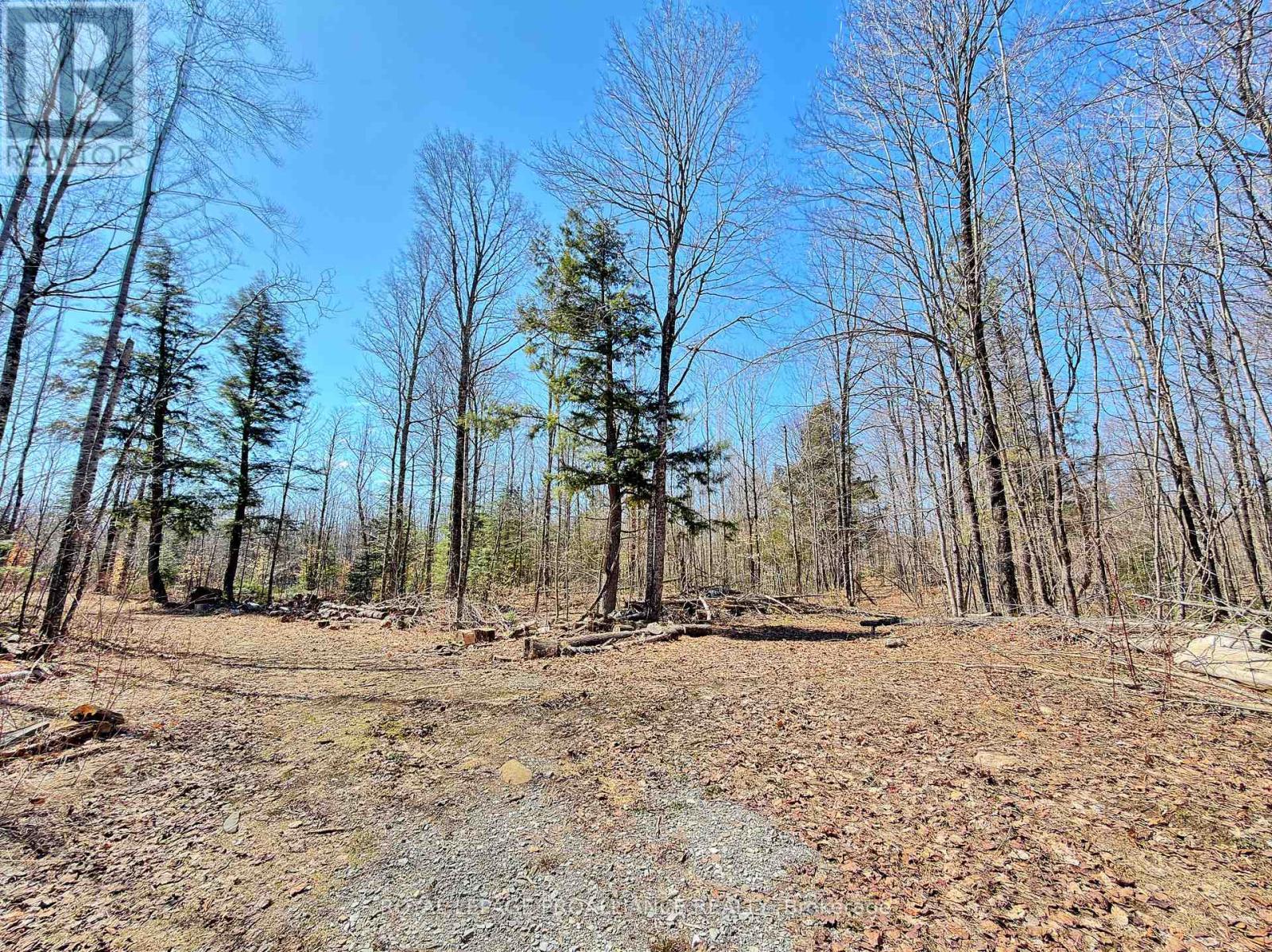 












812 CLEVELAND ROAD

,
Tudor and Cashel (Tudor Ward),




Ontario
K0K1Y0

