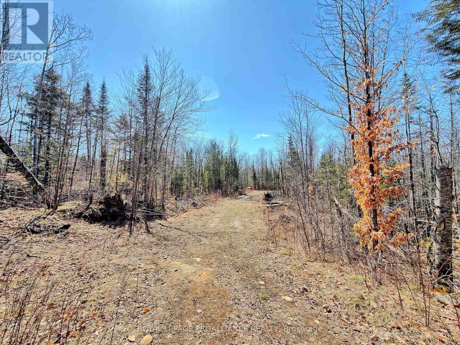 












812 CLEVELAND ROAD

,
Tudor and Cashel (Tudor Ward),




Ontario
K0K1Y0

