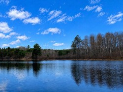 Bord de l'eau
