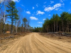 Terre/Terrain