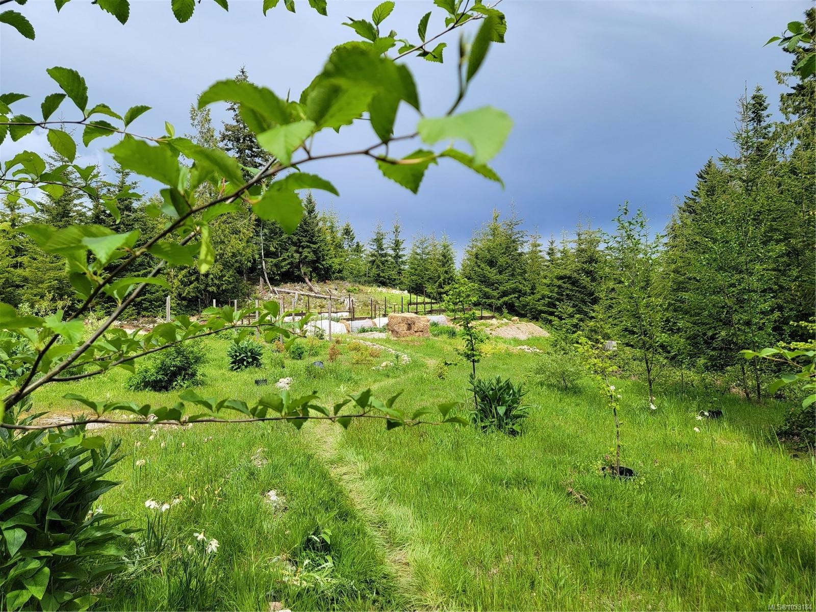 









345


Skywater

Dr,
Salt Spring,







BC
V8K 2W9

