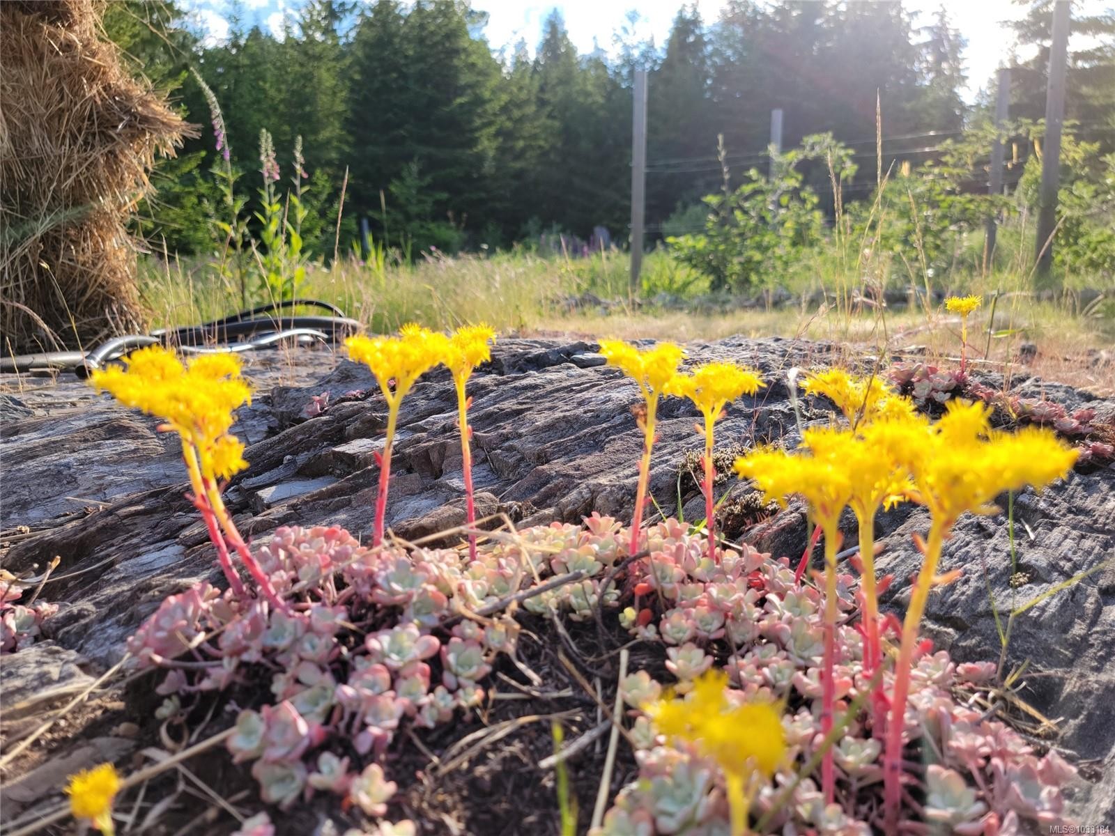 









345


Skywater

Dr,
Salt Spring,







BC
V8K 2W9

