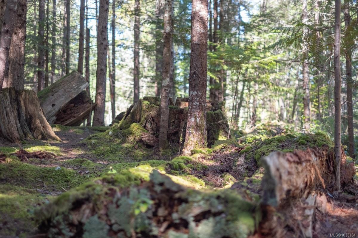 









345


Skywater

Dr,
Salt Spring,







BC
V8K 2W9

