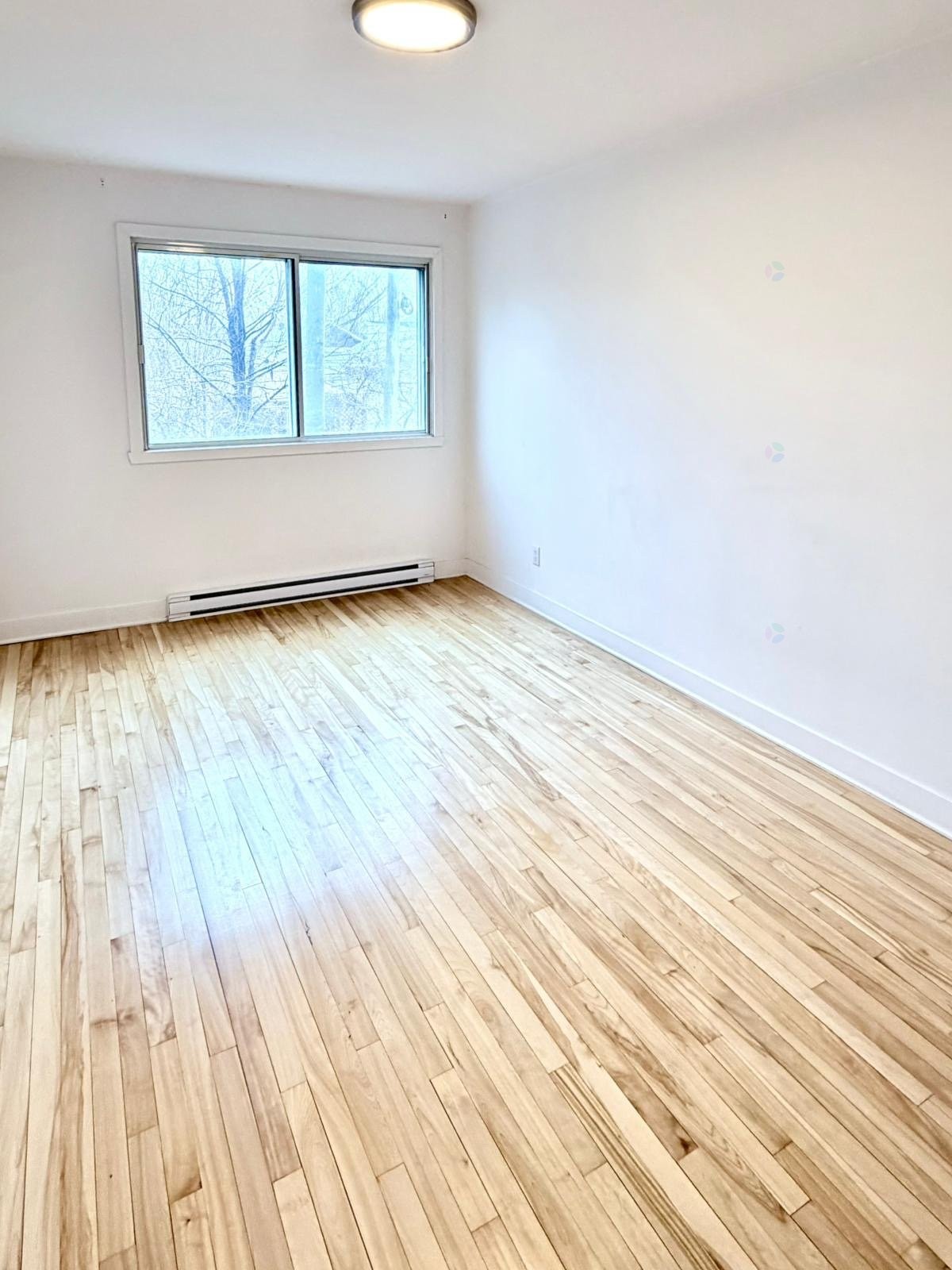 









350


Boul. Cartier O.

, 16,
Laval (Laval-des-Rapides),




QC
H7N2J7

