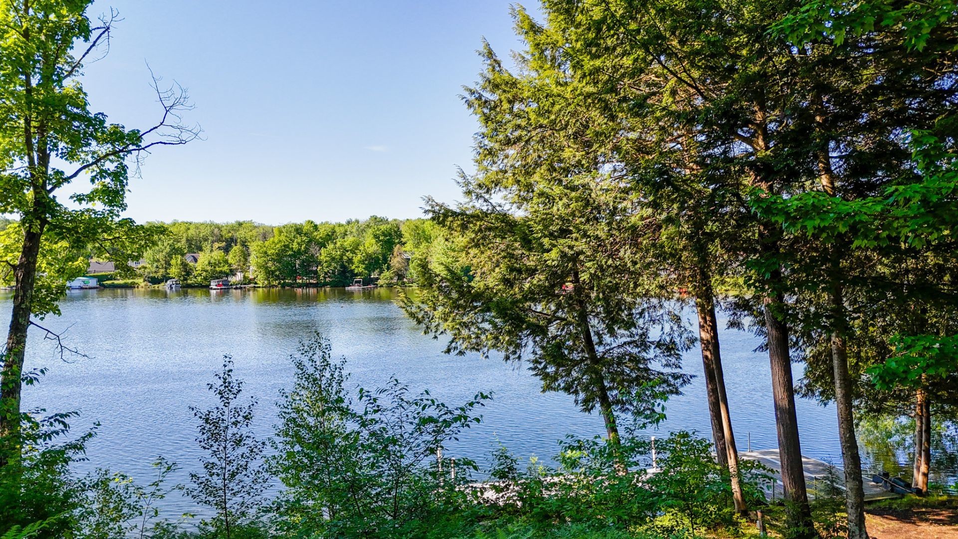 









1040


Av. du Parc

,
Sherbrooke (Brompton/Rock Forest/Saint-Élie/Deauville),




QC
J1N3P1

