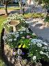 Summer Gardens