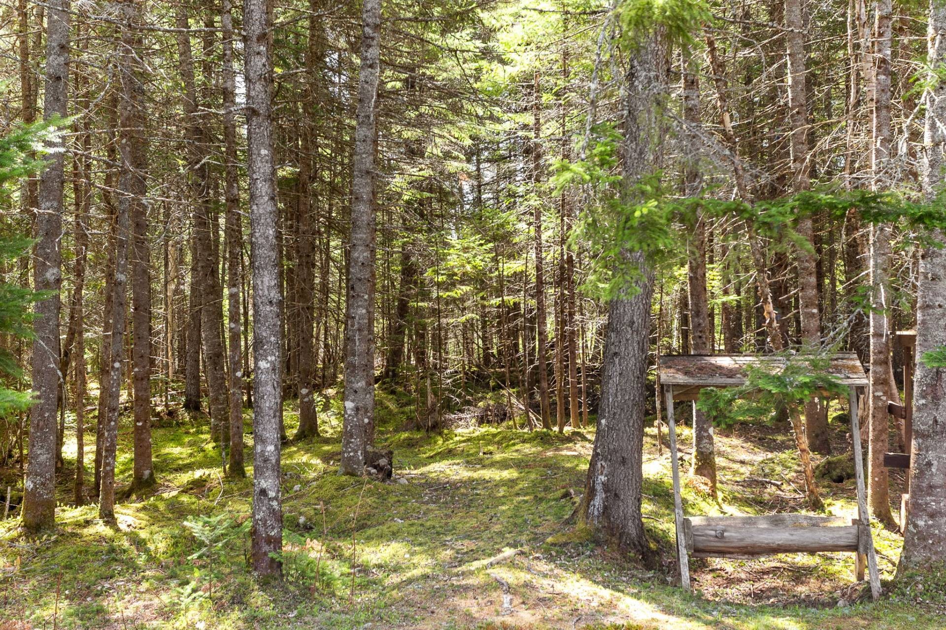 









160


Ch. de la Vallée-de-la-Grise

,
Lac-Supérieur,




QC
J0T1P0

