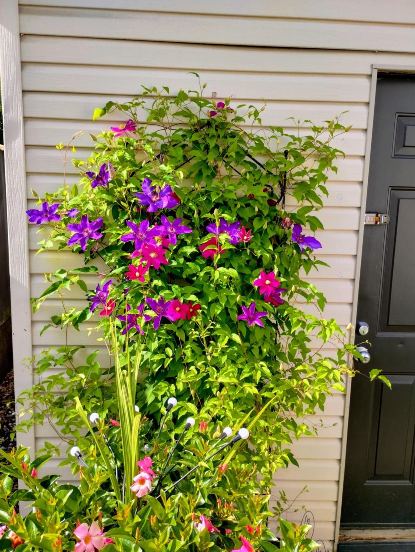 









30


13e Avenue O.

,
Gatineau (Gatineau),




QC
J8T5R1

