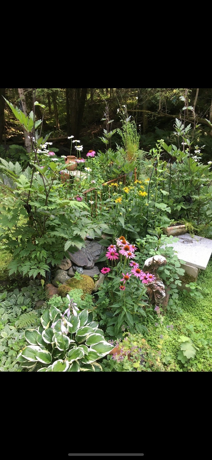 









695


Ch. de Stanstead

,
Ogden,







QC
J0B3E3


