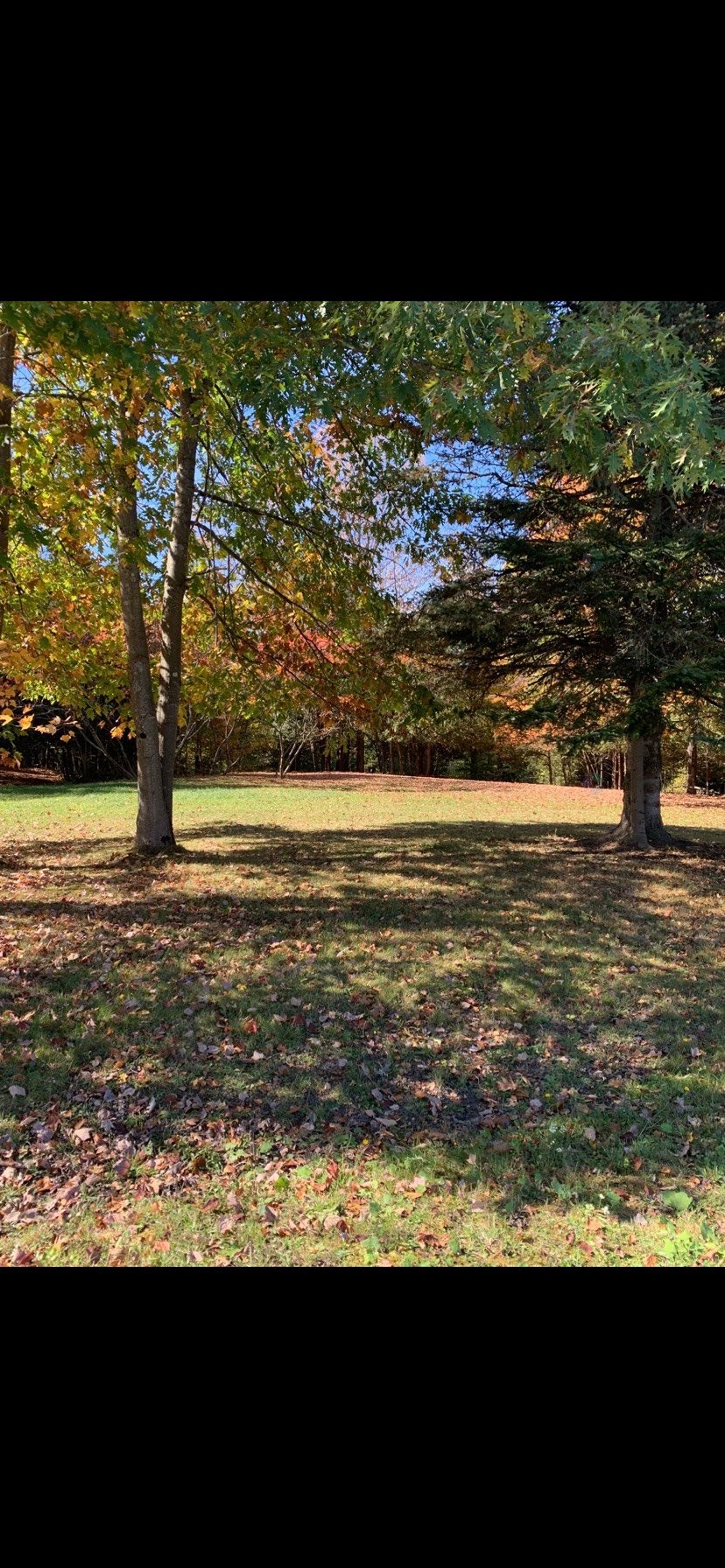 









695


Ch. de Stanstead

,
Ogden,







QC
J0B3E3

