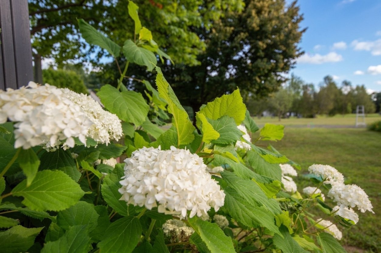 









1811


Route Louis-Cyr

,
Saint-Jean-de-Matha,




QC
J0K2S0

