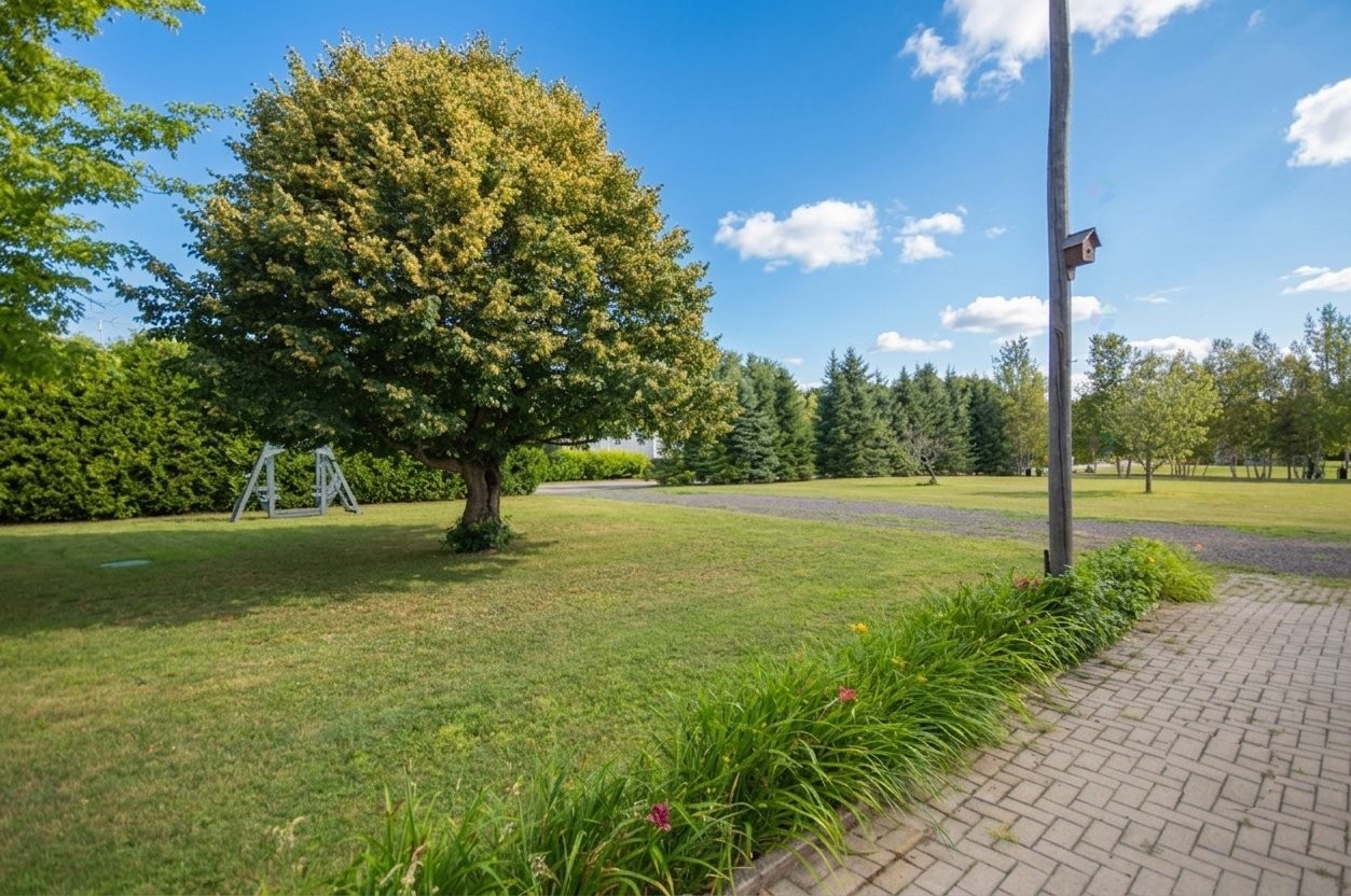 









1811


Route Louis-Cyr

,
Saint-Jean-de-Matha,




QC
J0K2S0

