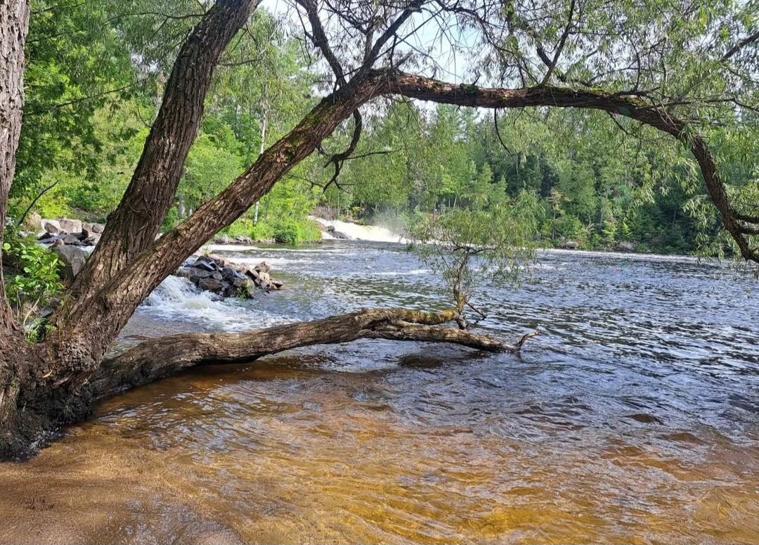 









1089


Ch. du Domaine

,
Saint-André-Avellin,




QC
J0V1W0

