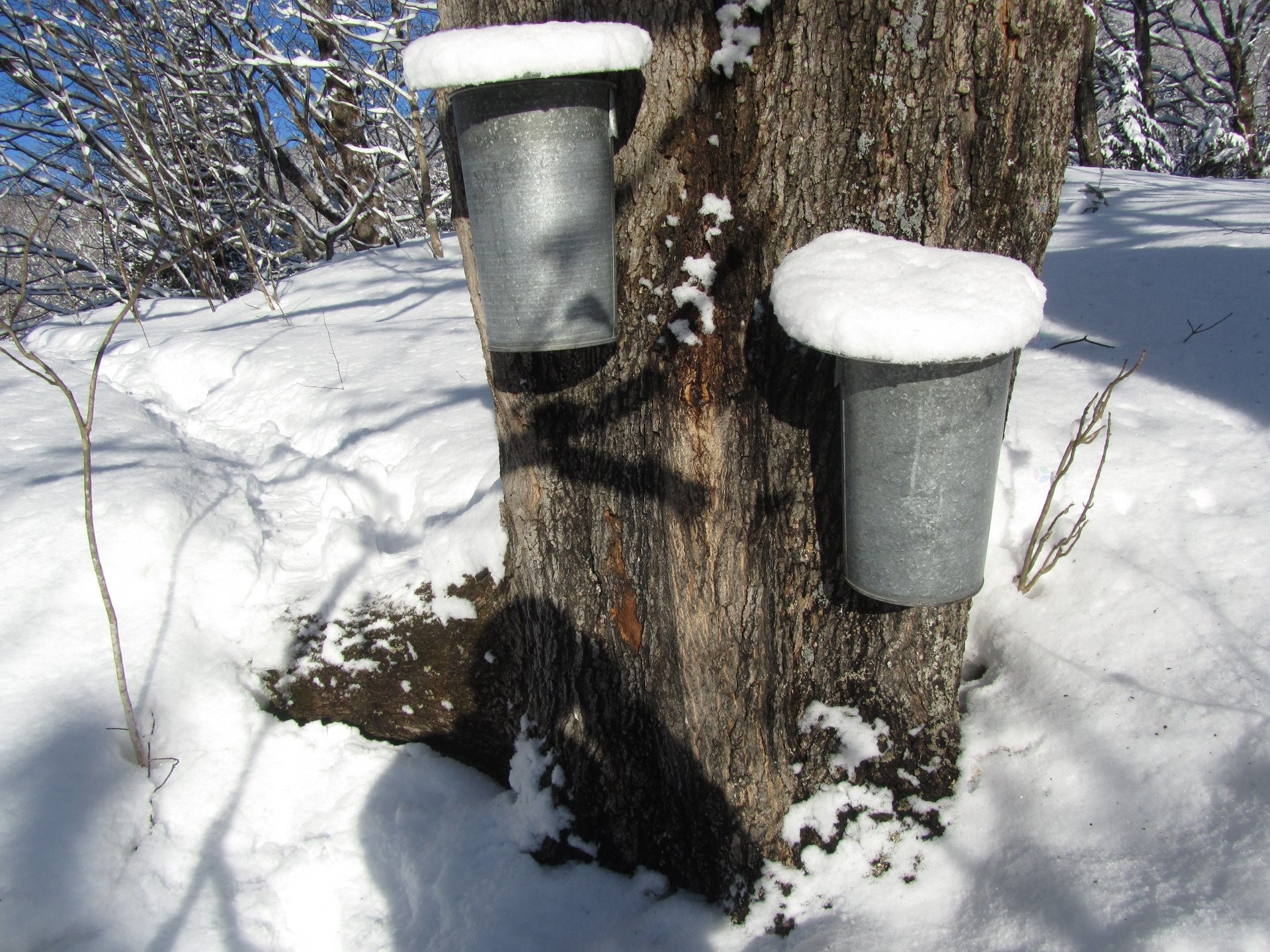 









521


Mtée Major

,
Boileau,




QC
J0V1N0

