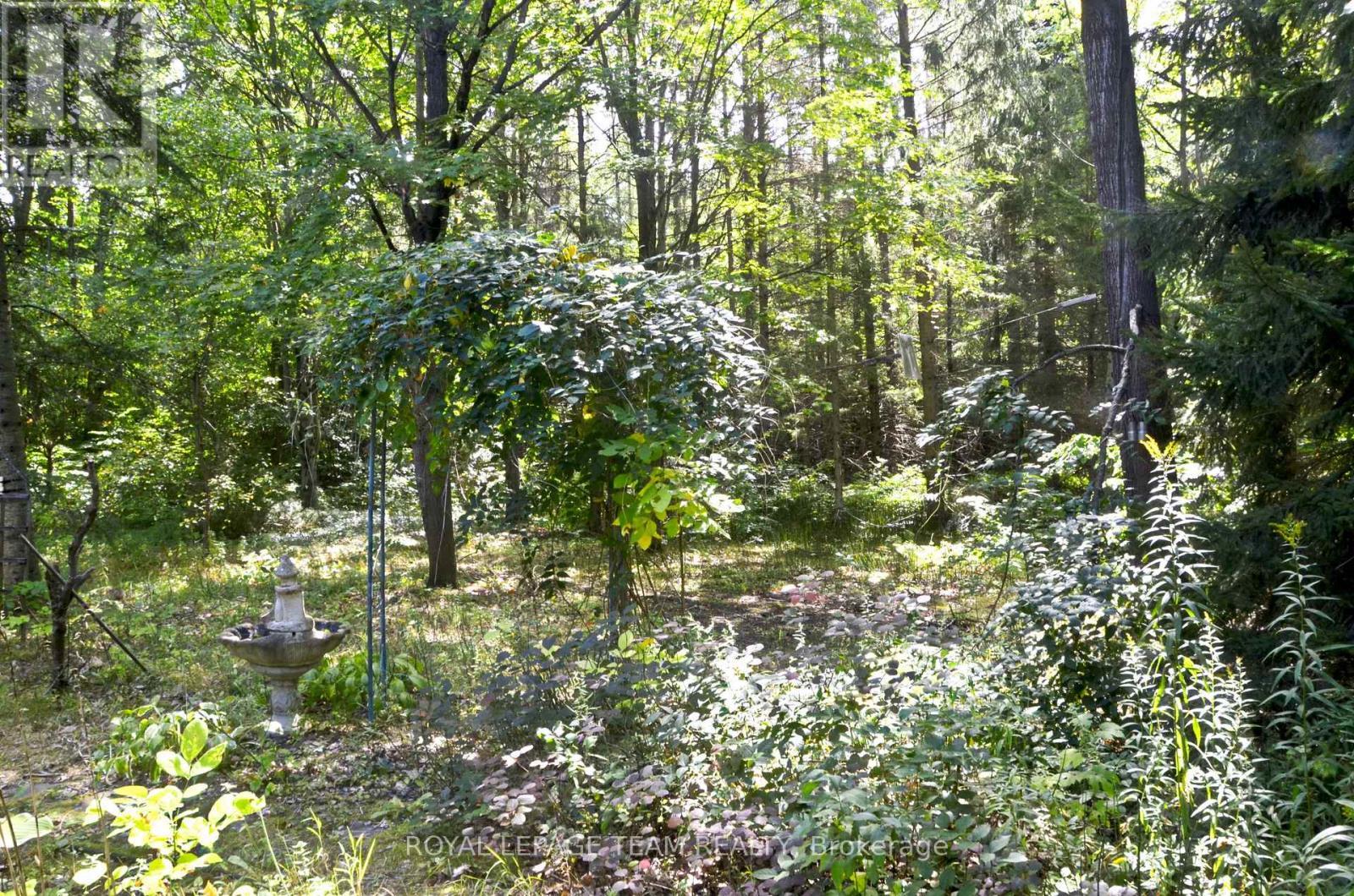 












4465 CARMAN ROAD N

,
South Dundas,




Ontario
K0E1K0

