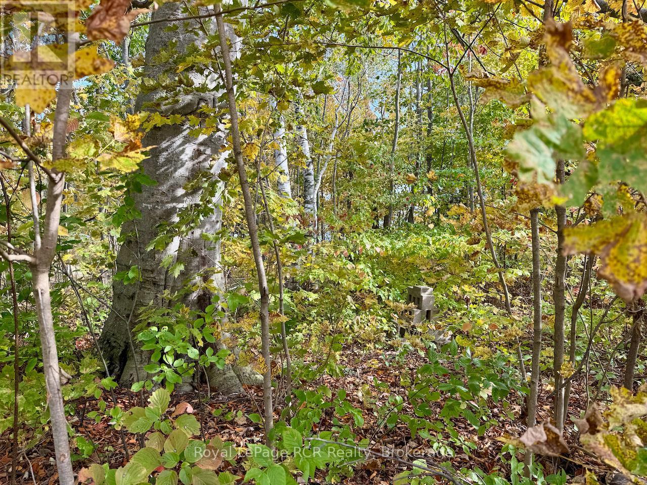 












35 BYRON STREET

,
Northern Bruce Peninsula,







Ontario
N0H1W0

