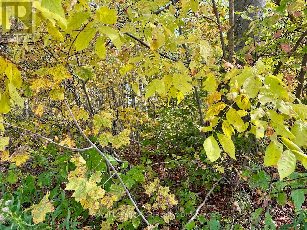 












35 BYRON STREET

,
Northern Bruce Peninsula,







Ontario
N0H1W0

