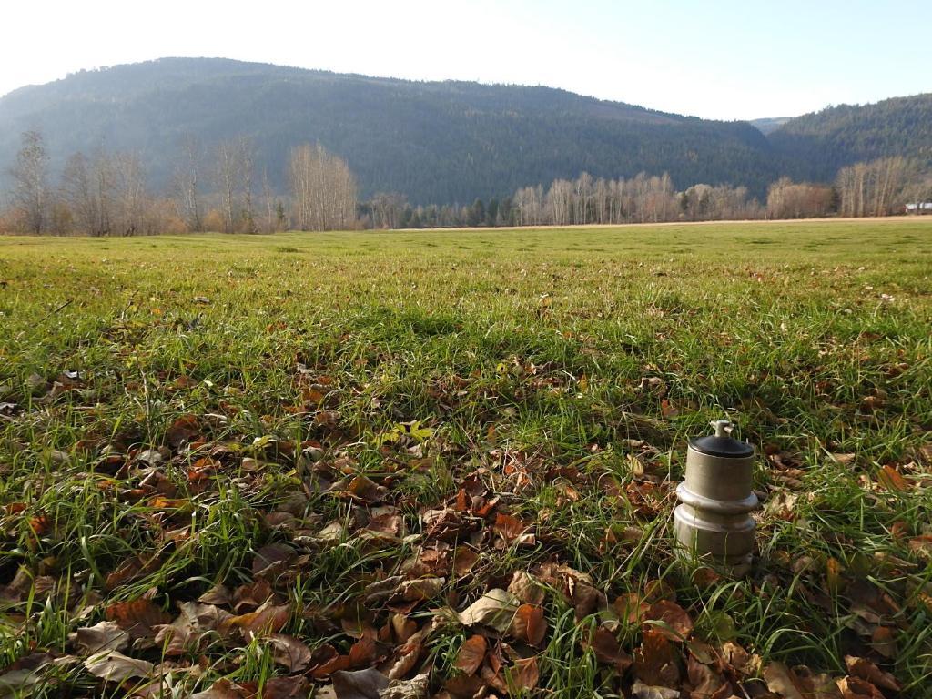 









110


Parsons

Road,
Mara,







BC
V0E 2K0

