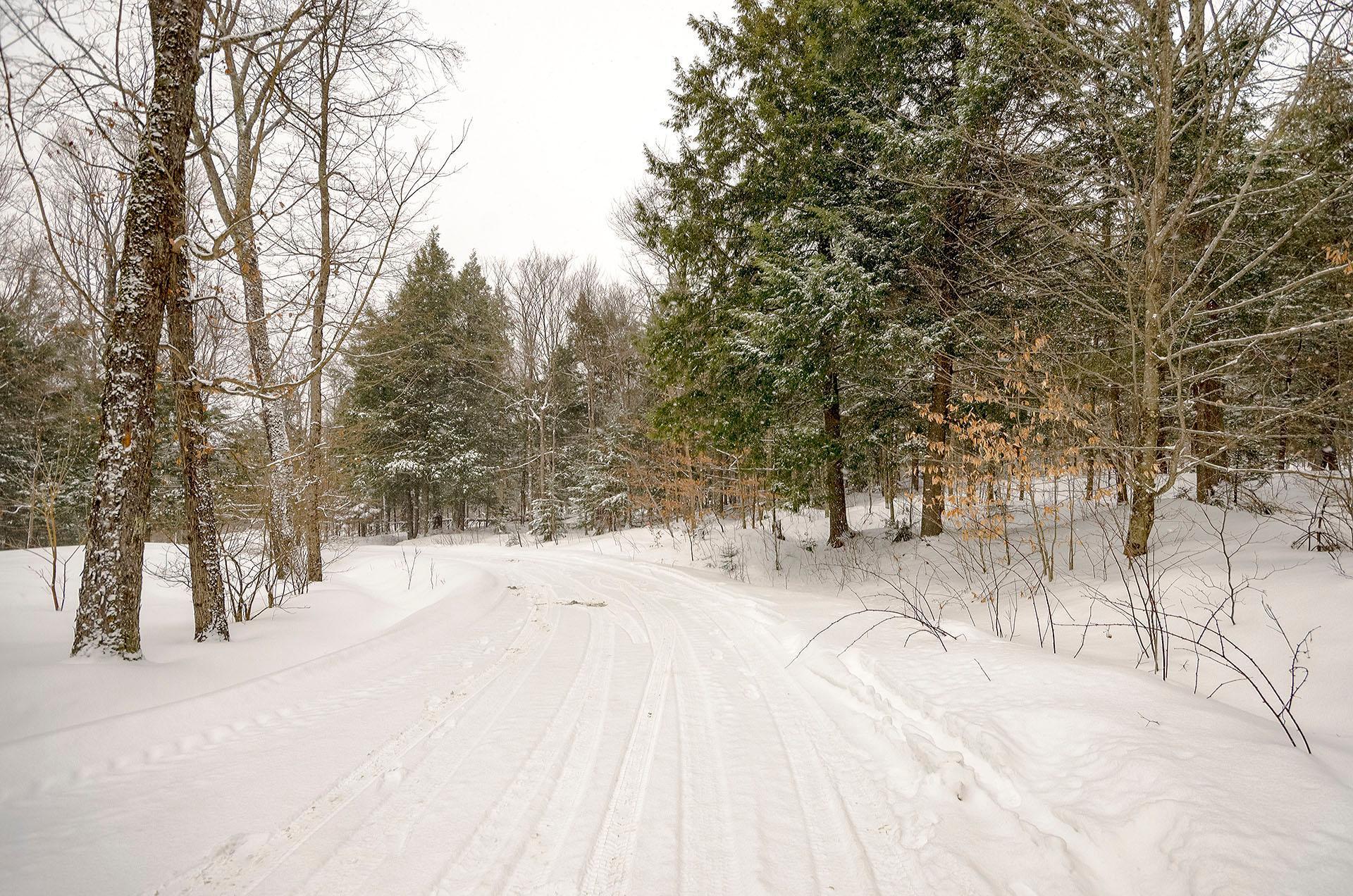 









191


Ch. des Pinsons

,
Sutton,




QC
J0E2K0

