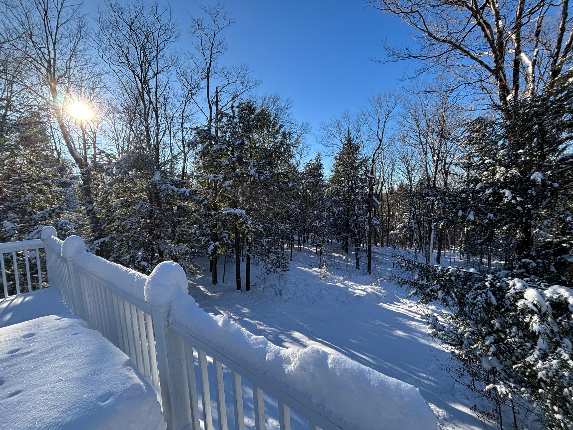 









191


Ch. des Pinsons

,
Sutton,




QC
J0E2K0

