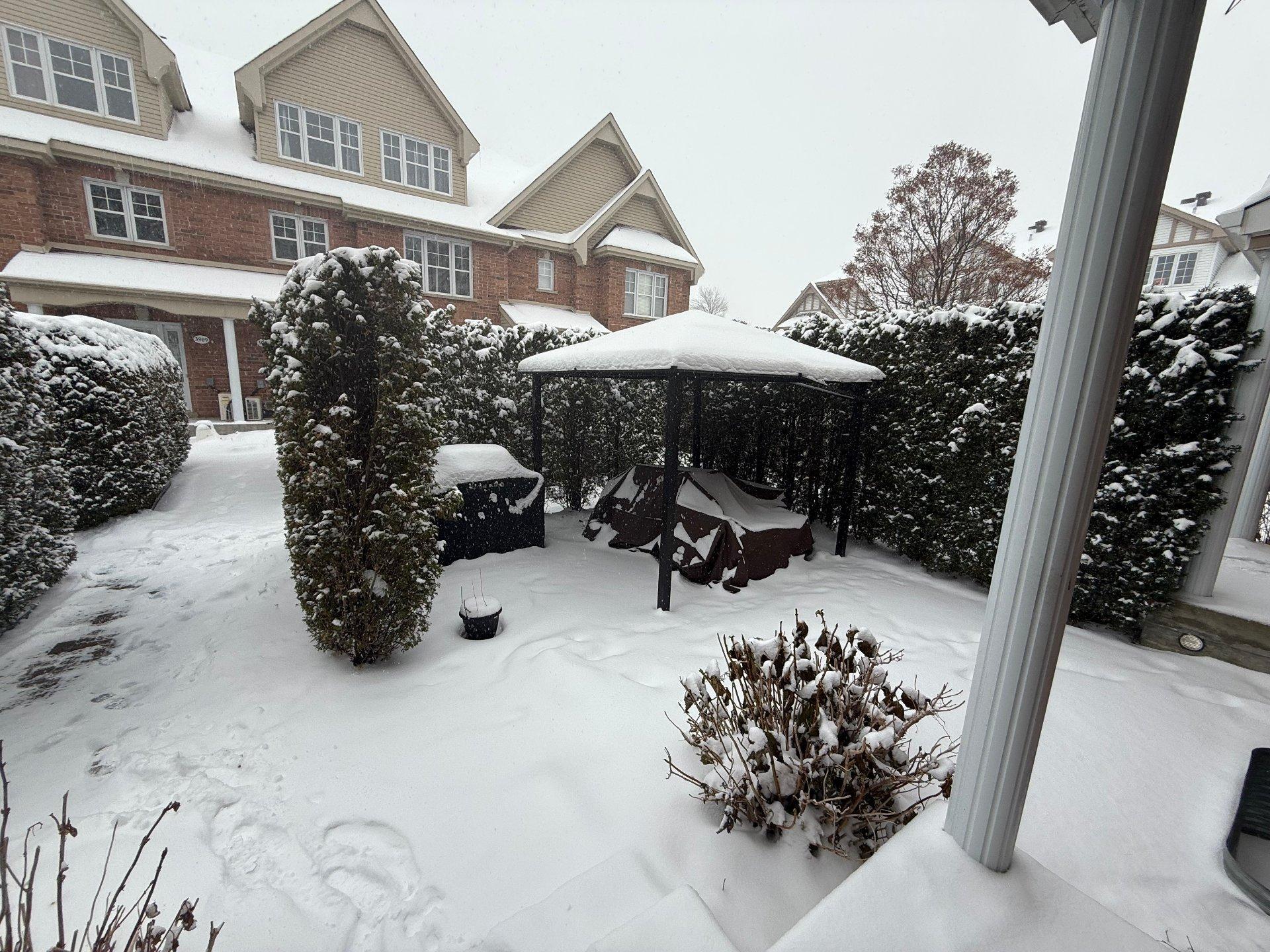 









3895Z


Rue Céline-Marier

,
Montréal (Saint-Laurent),




QC
H4R3N3

