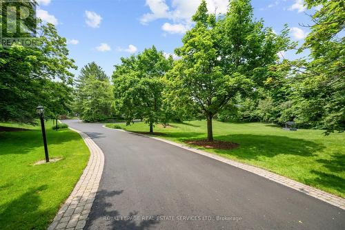 Nestled on 3.5 Acres Beyond a Gated Winding Drive!