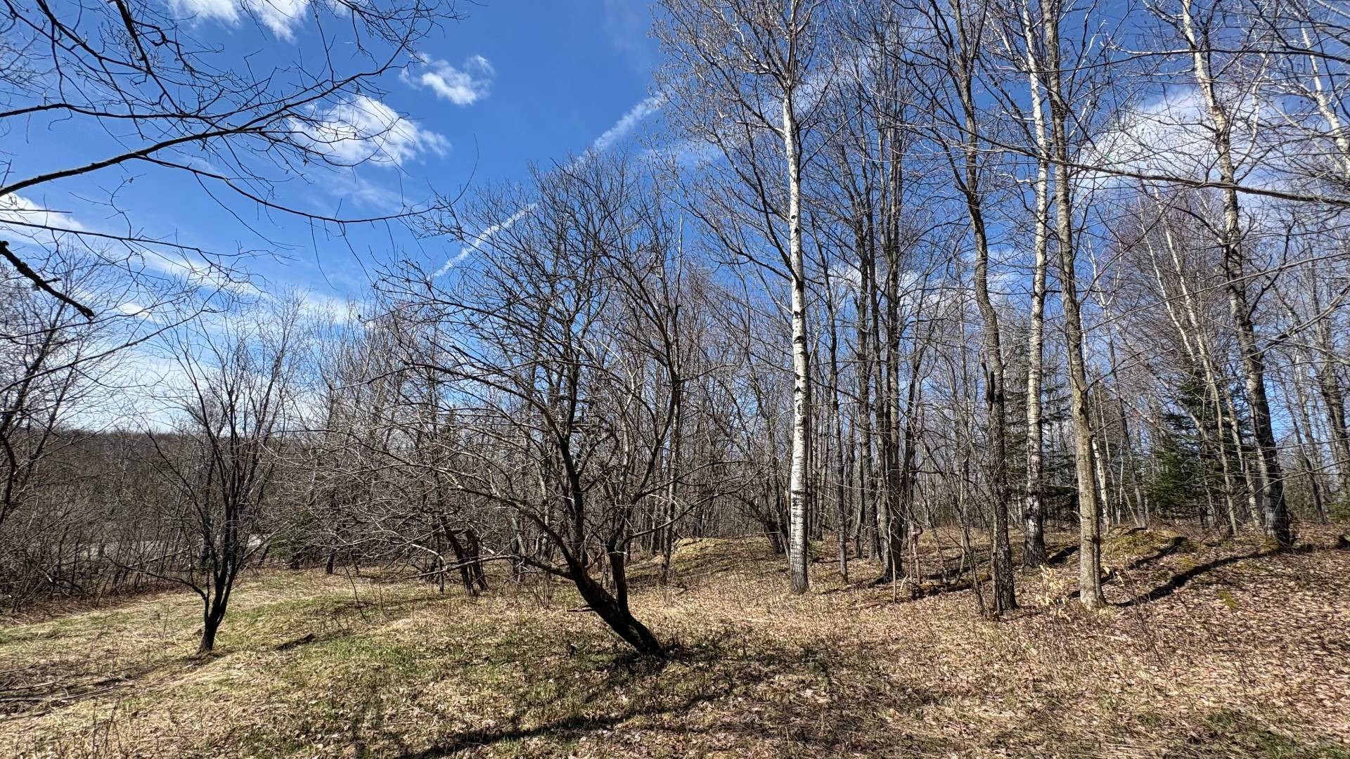 









1705


Route 210

,
Newport,







QC
J0B3A0

