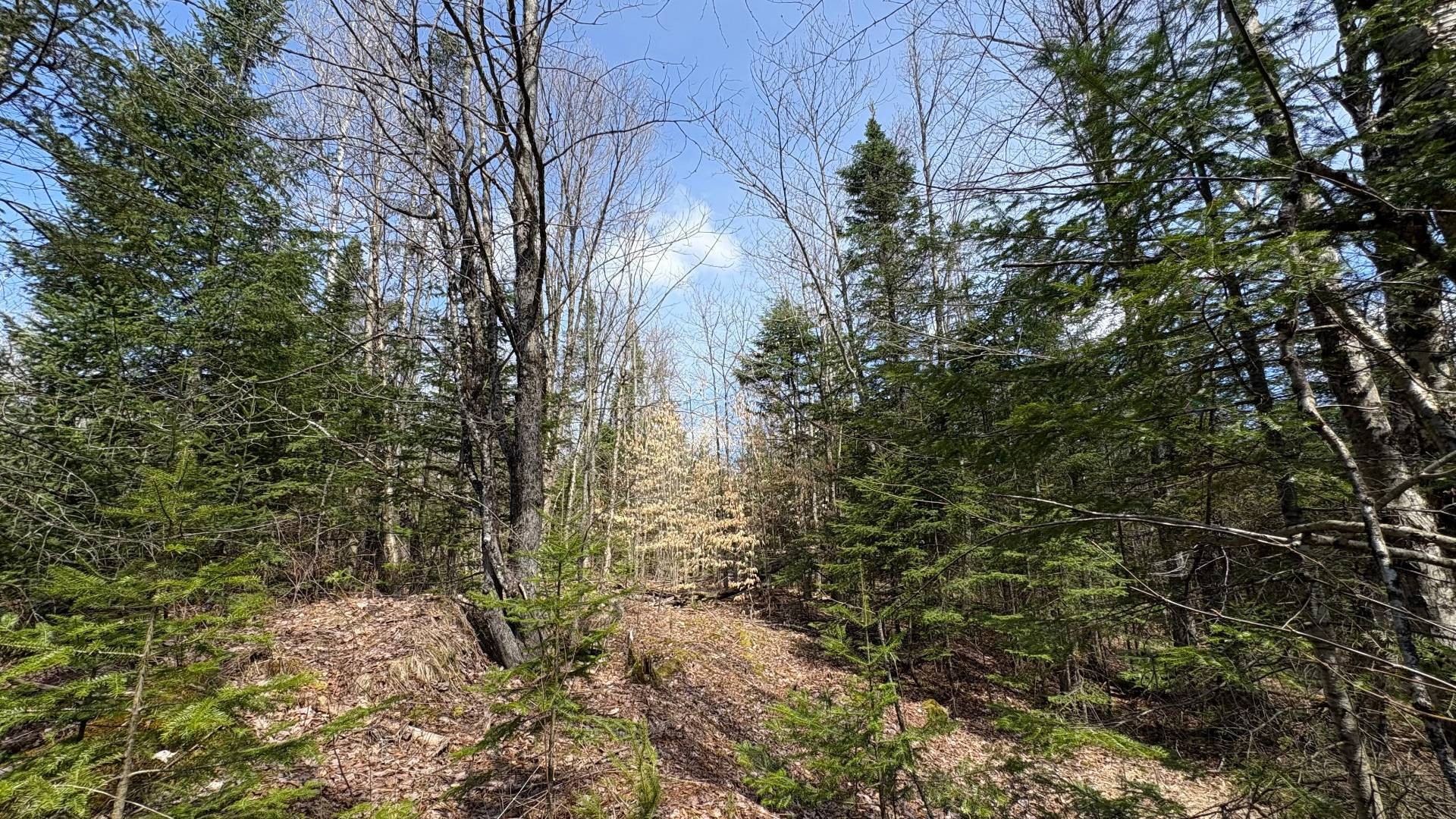 









1705


Route 210

,
Newport,







QC
J0B3A0

