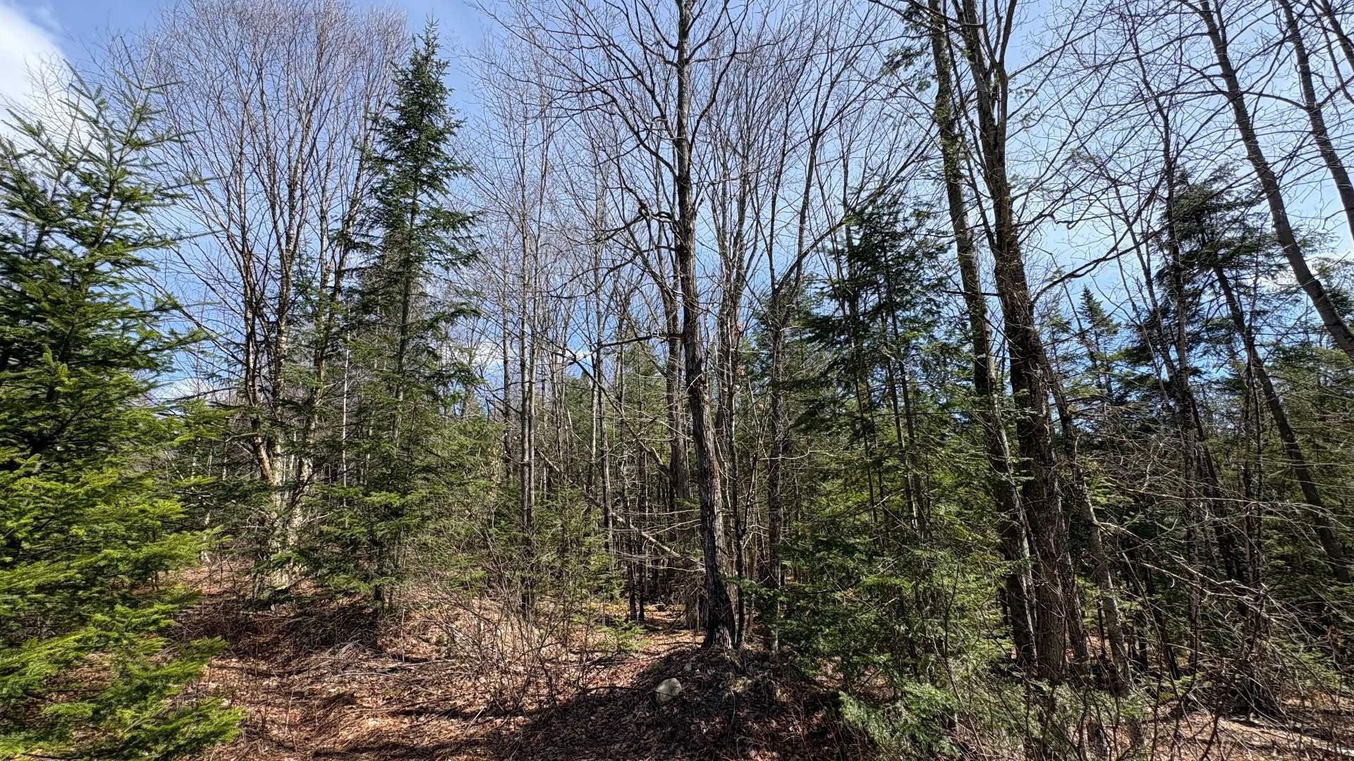 









1705


Route 210

,
Newport,







QC
J0B3A0

