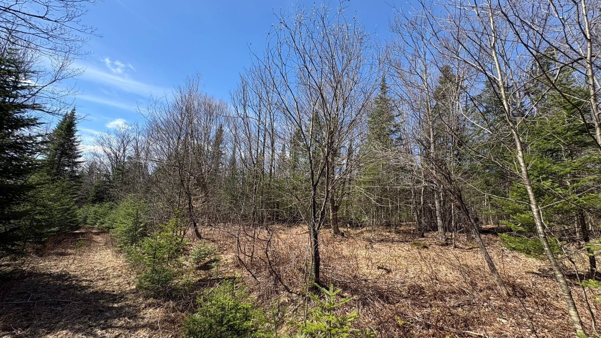 









1705


Route 210

,
Newport,







QC
J0B3A0

