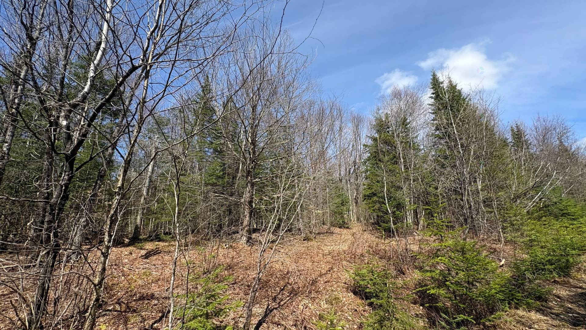 









1705


Route 210

,
Newport,







QC
J0B3A0

