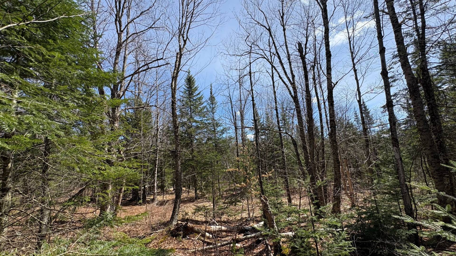 









1705


Route 210

,
Newport,







QC
J0B3A0

