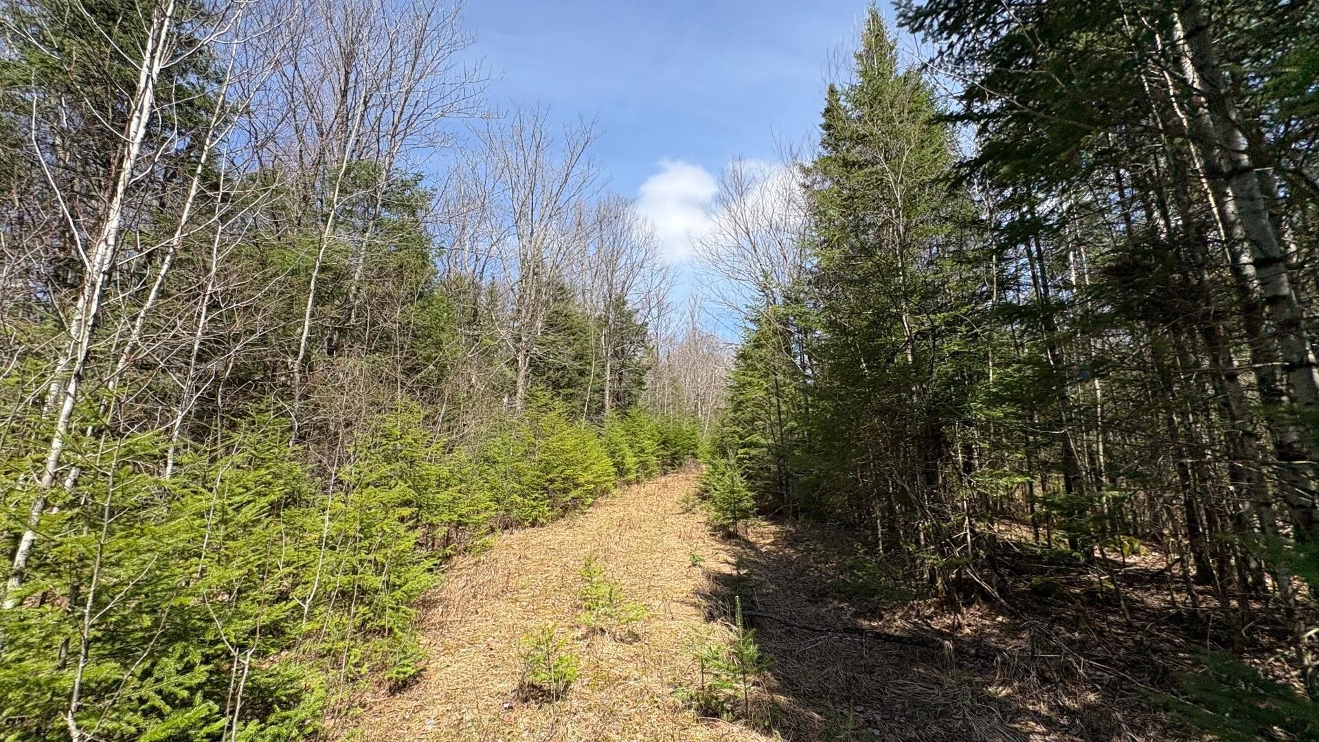 









1705


Route 210

,
Newport,







QC
J0B3A0

