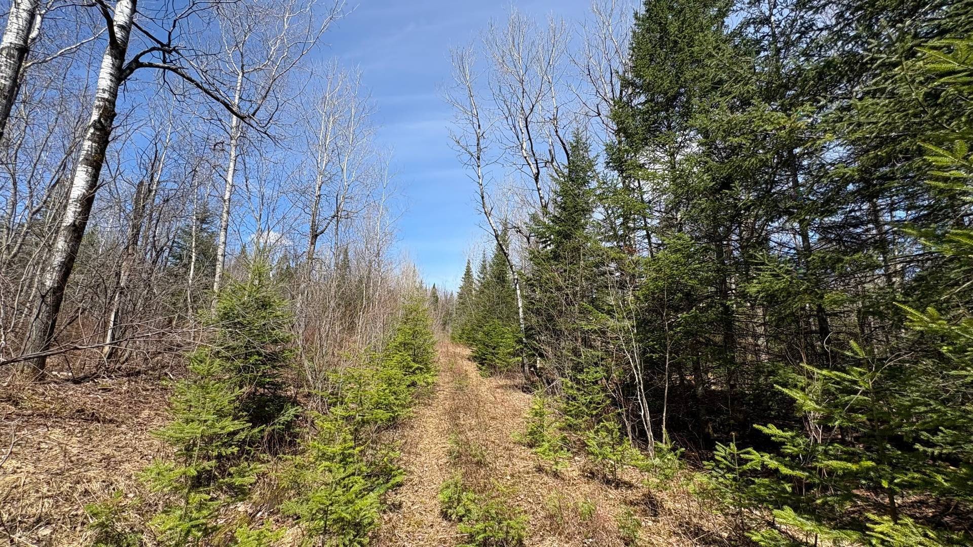 









1705


Route 210

,
Newport,







QC
J0B3A0

