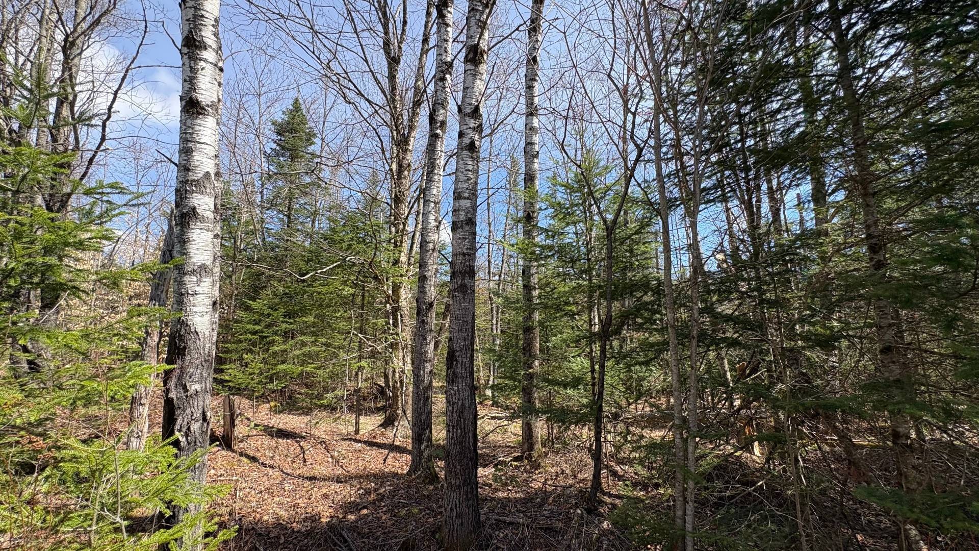 









1705


Route 210

,
Newport,







QC
J0B3A0

