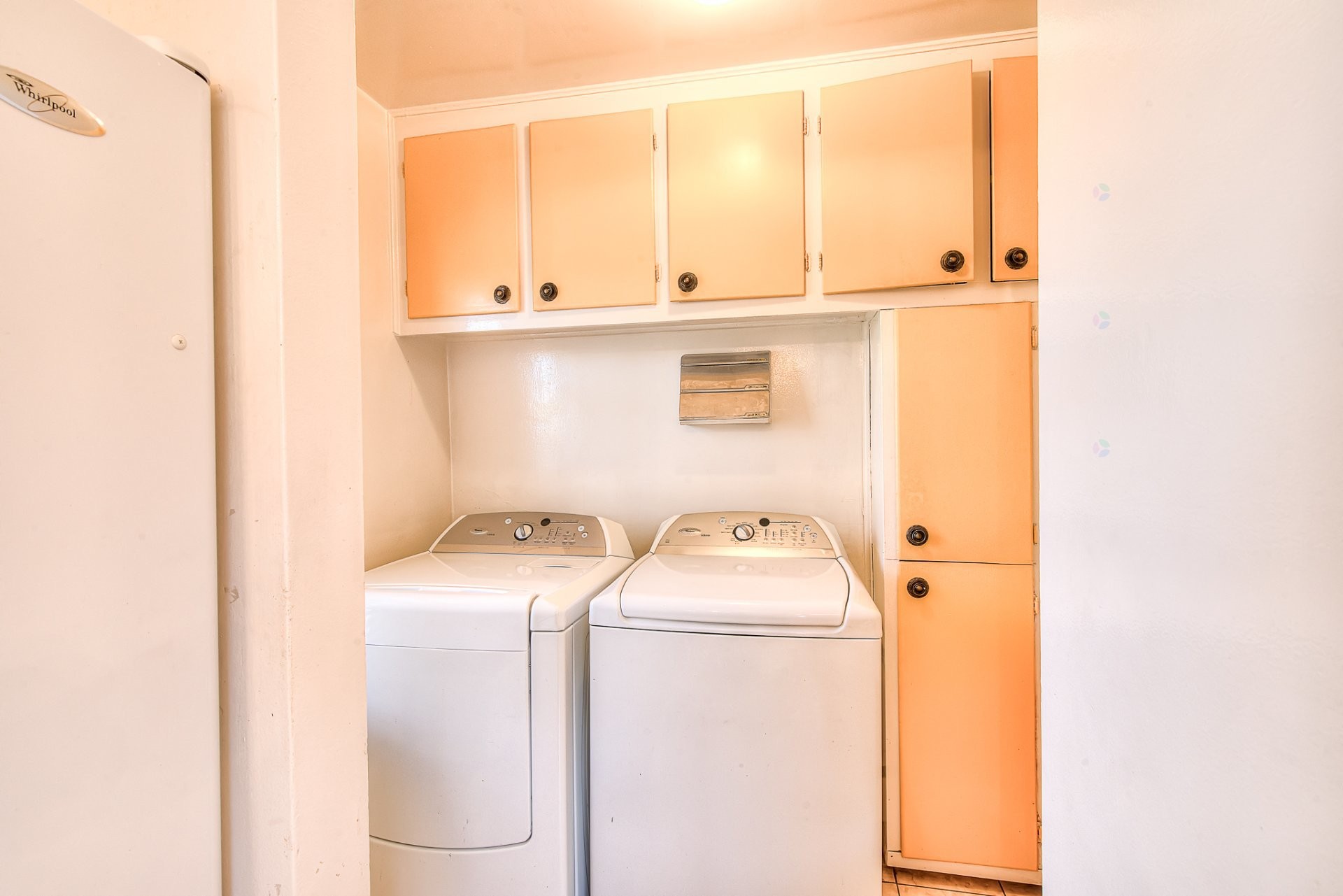 









5723


Av. Davies

,
Côte-Saint-Luc,




QC
H4W2R3

