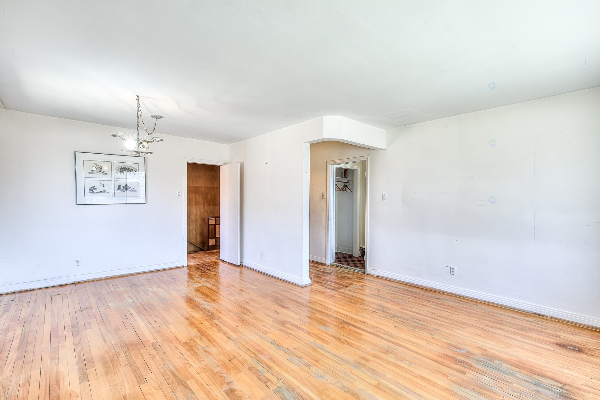 









5723


Av. Davies

,
Côte-Saint-Luc,




QC
H4W2R3

