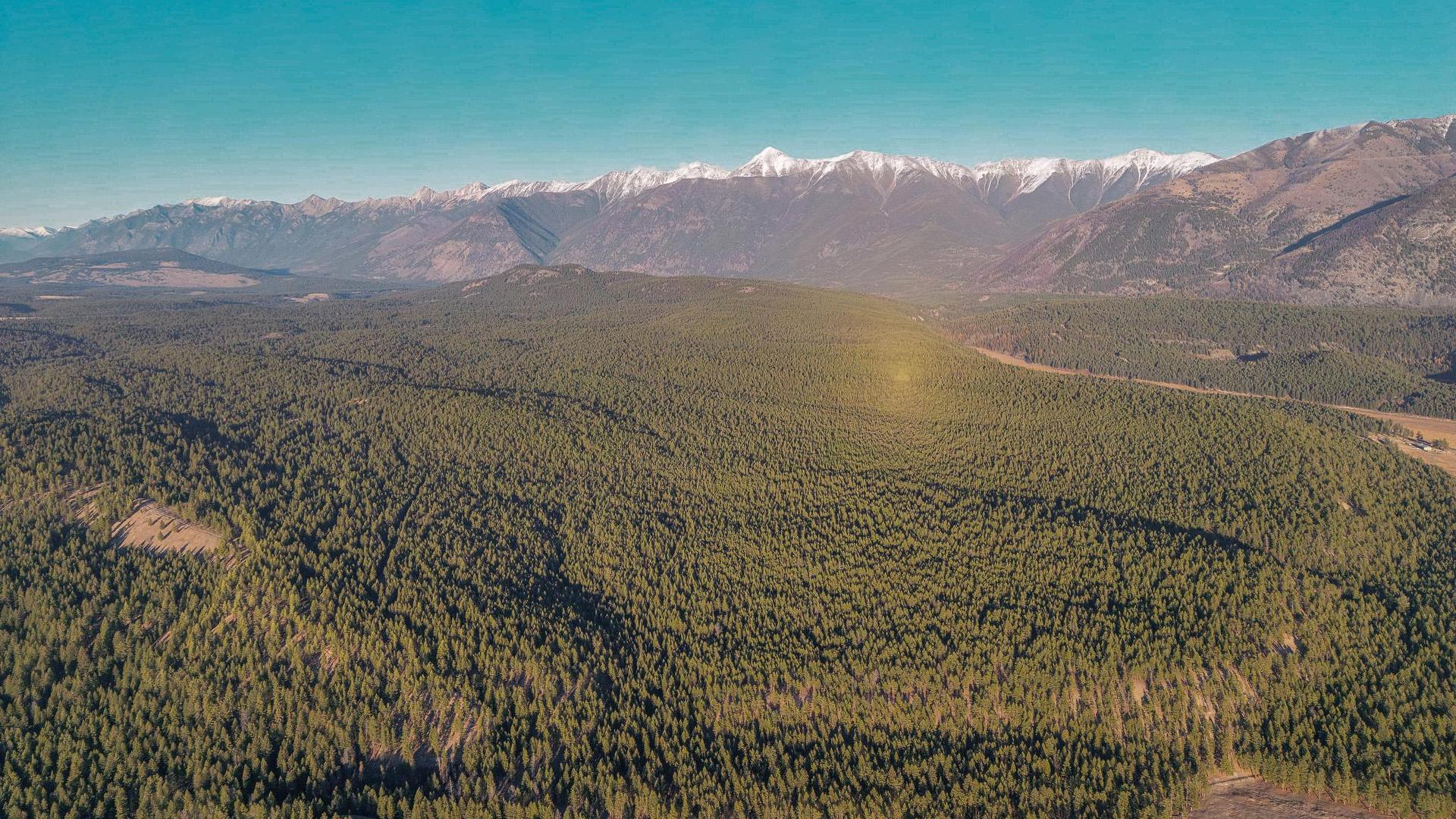 









Lot 5


Wasa Lake Park

Drive,
Wasa,







BC
V0B 2K0

