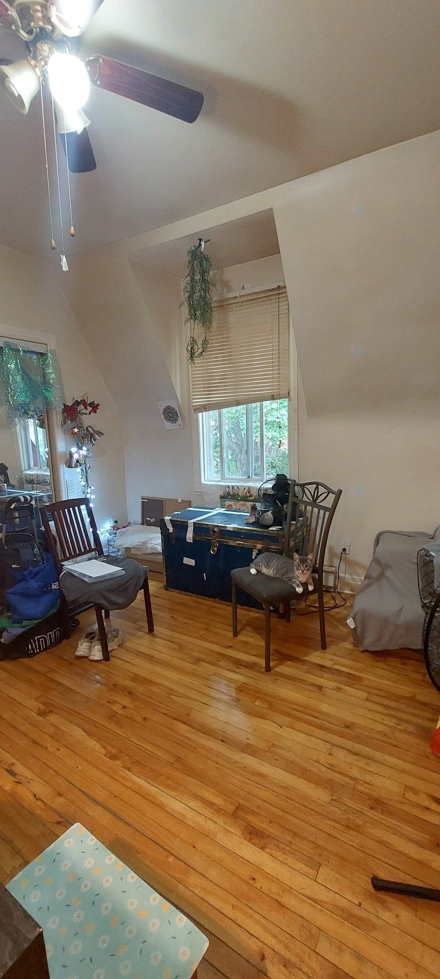 









10950

 - 10952


Av. Lausanne

,
Montréal (Montréal-Nord),




QC
H1H5B7

