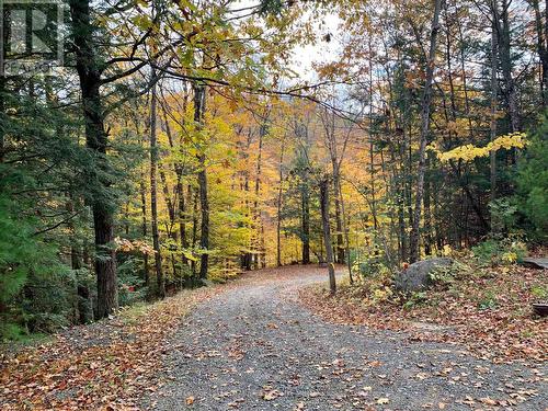 Fall Entrance